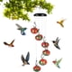 thumbnail image 1 of Encantadores comederos para colibríes con campanillas de viento, comederos para pájaros para ventana para observar., 1 of 7