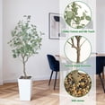 thumbnail image 4 of Huisuilinss Artificial Eucalyptus Tree,5FT Tall Faux Eucalyptus Tree,Potted Fake Eucalyptus Plant With White Tall Planter,Indoor Floor Plant For Home Living Room Balcony House Office Wedding Decor, 4 of 7