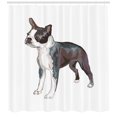 thumbnail image 3 of Boston Terrier Shower Curtain, Portrait of Standing Canine Realistic Illustration Digital Color Effect, Fabric Bathroom Set with Hooks, 69W X 84L Inches Extra Long, Multicolor, by Ambesonne, 3 of 3