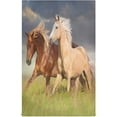 thumbnail image 3 of SKYSONIC 1 pack Running Horse Kitchen Dish Towels,Dishcloths,Absorbent Soft Towels Hand Towels, 18" x 28", 3 of 7