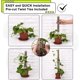 thumbnail image 3 of Poste de musgo, palo de tótem de musgo de coco para estacas y soportes de plantas, plantas trepadoras de interior, enredaderas 4 piezas ER, 3 of 5
