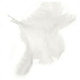thumbnail image 3 of 60 Pcs Natural Ostrich Feathers Wedding Party Decoration White 45-50cm, 3 of 4