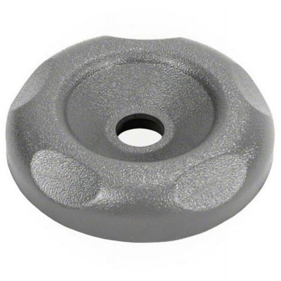 2 in. Diverter Valve Cap, Gray