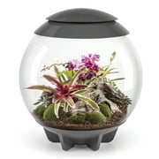 biOrb AIR 60 Terrarium, Gray