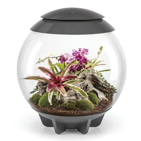 biOrb AIR 60 Terrarium, Gray