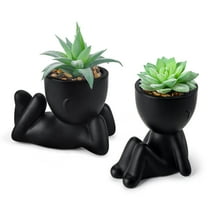 2 Pack Artificial Succulent Aesthetic Fake Plants in Black Pots for Home Office Desk Bathroom Room Indoor Decor