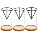 thumbnail image 1 of 3 Pack Avocado Tree Growing Kits, Glass Avocado Seed Vase with Triangle Bracket and Bamboo Base, Sprouting Plant Pot, 1 of 5