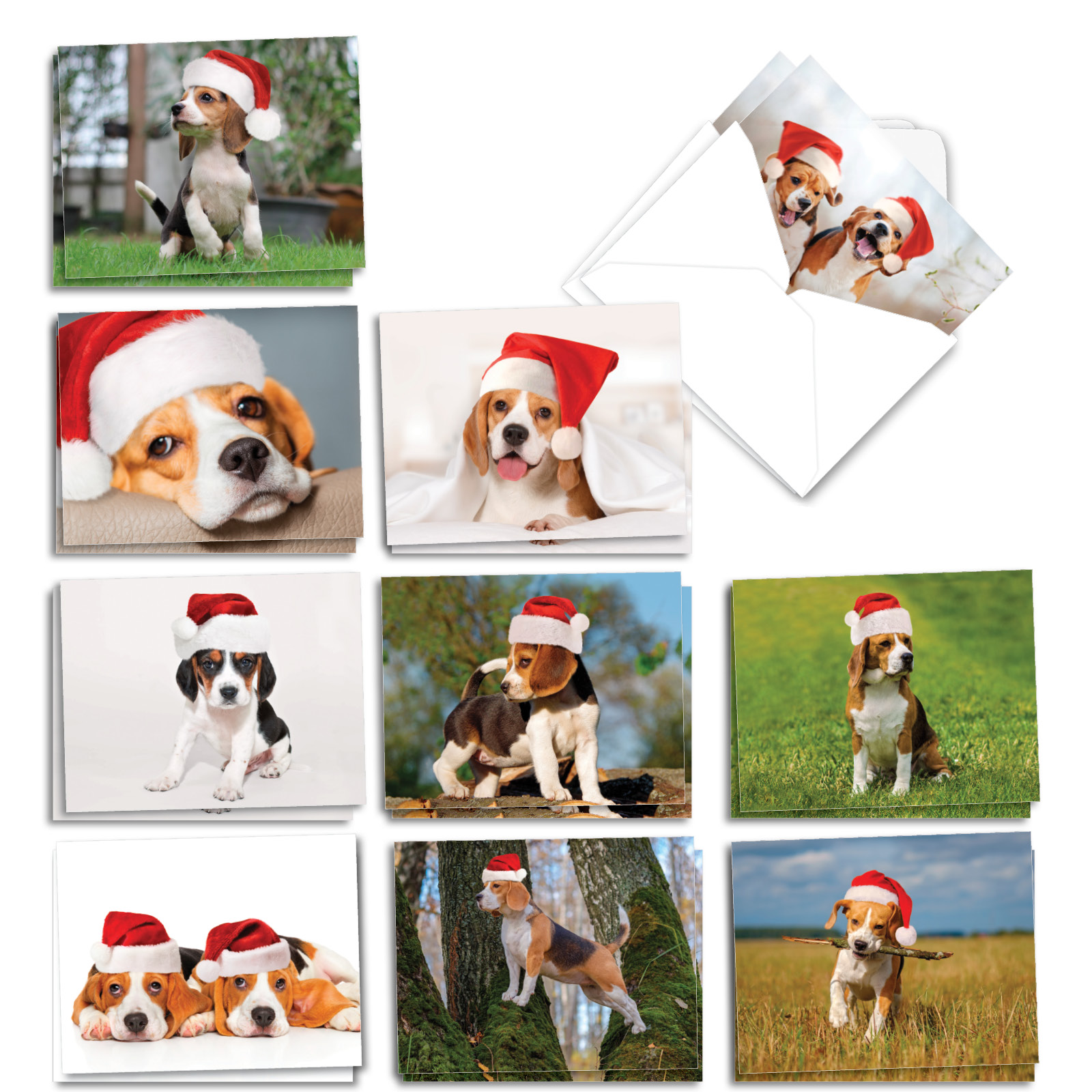 20 Cute Beagle Christmas Cards with Envelopes - Adorable Puppies in