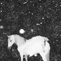 Black Lips - Apocalypse Love - Rock - Vinyl