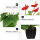 thumbnail image 3 of ADDHAT 1Ud Ornamentación Con Planta Artificial Anthurium Bonsái En Maceta Para Espacios Modernos, 3 of 6