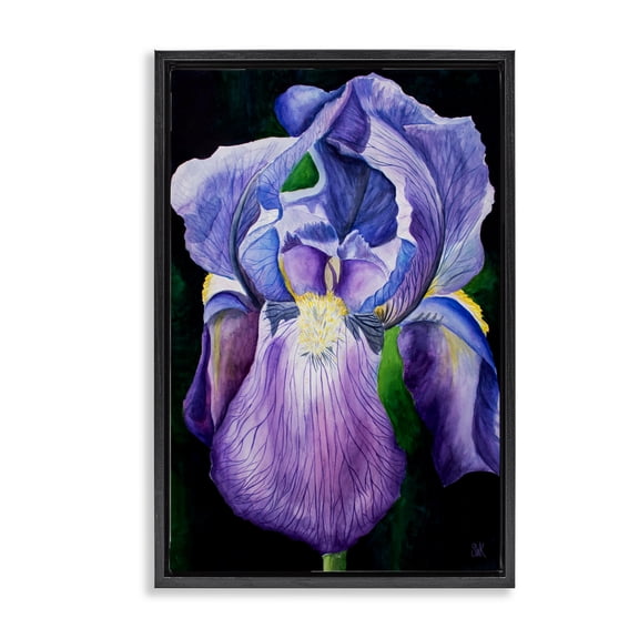Stupell Industries French Country Purple Iris Petals Black Floating Frame Canvas Art, 17 x 25, by Sarah Waldron Kimball