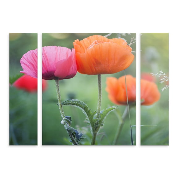 Trademark Fine Art 'Love Me Again' Canvas Art by Philippe Sainte-Laudy