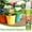 Multicolor, variant on SHIMELE Nutrient Solution Flower Fertilizer Hydroponic Plant Food Liquid Fertilizer for Indoor Outdoor Potted Plants Universal Growth Booster Nutrient Enrichment 130ml