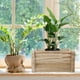 thumbnail image 3 of Caja de Jardinera Rectángulo Caja de Madera Jardinera Rectangular Maceta Maceta Rectángulo Maceta, 3 of 8