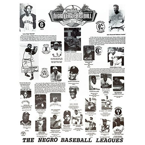 The Negro Baseball Leagues Poster (18x24)