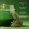 thumbnail image 4 of Bougie en pot parfumée Yankee Candle, collection Studio, 4 of 7