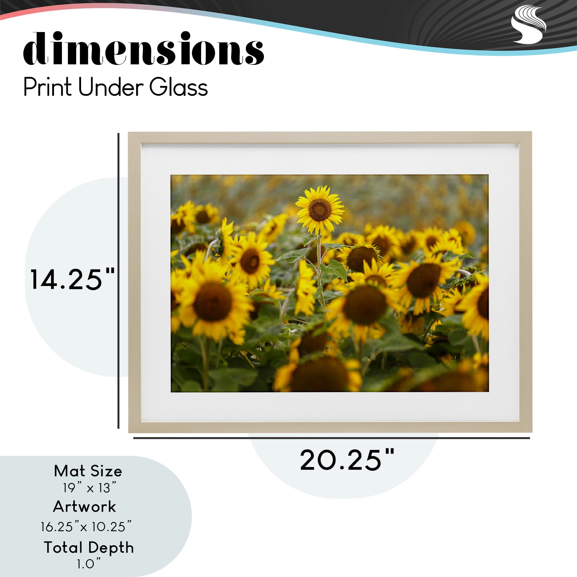 Central Sunflower in Meadow Birch Framed Print Under Glass, design by Andy Crawford