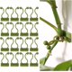 thumbnail image 1 of Clip de soporte para plantas trepadoras de 100 piezas, clips autoadhesivos para plantas, clip de montaje en pared de vid verde, fijador de pared, clip de gancho de soporte para plantas, clip de estaca, pared de plantas ShuxiuWang 8390612457494, 1 of 1