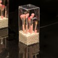 thumbnail image 3 of Soporte para brochas de maquillaje, soporte para lápiz de cejas transparente, soporte para cosméticos con perla falsa, 3 of 8
