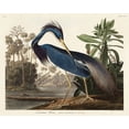 thumbnail image 2 of Audubon, John James 18x15 Black Ornate Wood Framed with Double Matting Museum Art Print Titled - Louisiana Heron, 2 of 4