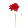 thumbnail image 3 of Vickerman FA173301 Simple Velours Amaryllis Tige Florale Rouge, 3 of 3