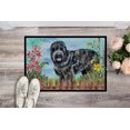 thumbnail image 2 of Carolines Treasures CK1239MAT Tapis d'Intérieur Ou d'Extérieur à Ressort Russe Terrier Noir - 18 x 27 Po., 2 of 4