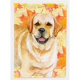 thumbnail image 1 of Carolines Treasures BB9925CHF Golden Retriever Fall Flag - Canvas House Size, 1 of 4