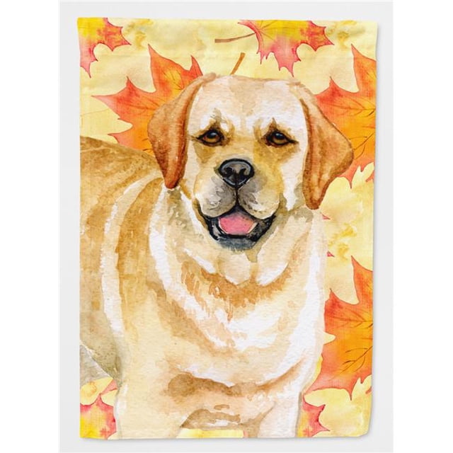 Carolines Treasures BB9925CHF Golden Retriever Fall Flag - Canvas House Size