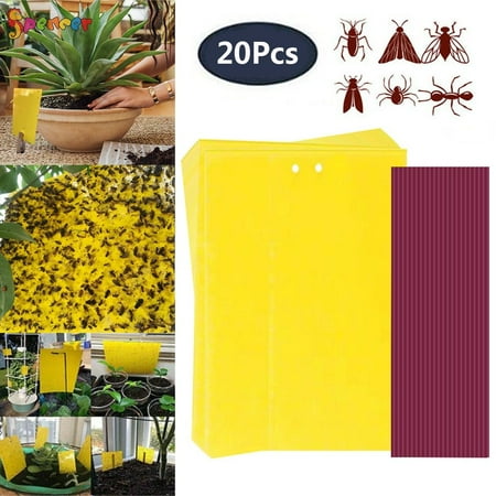 Spencer 20Pcs Yellow Traps Sticky Fly Paper Fruit Flies Insect Aphids Glue Catcher