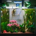 thumbnail image 3 of 1 Set Artificial Aquarium Plants Plastic Realistic Fish Tank Plants Fake Plants For Fish Tank Turtle Tank, 3 of 5