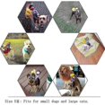thumbnail image 5 of Pet Ideas Funny Horse Riding Cowboy Rider Clothes Funny Pet Clothes Dog Clothe, 5 of 5