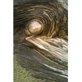 thumbnail image 2 of Rotenberg, Nancy 17x24 White Modern Wood Framed Museum Art Print Titled - USA, Oregon Stump pattern on beach, 2 of 4