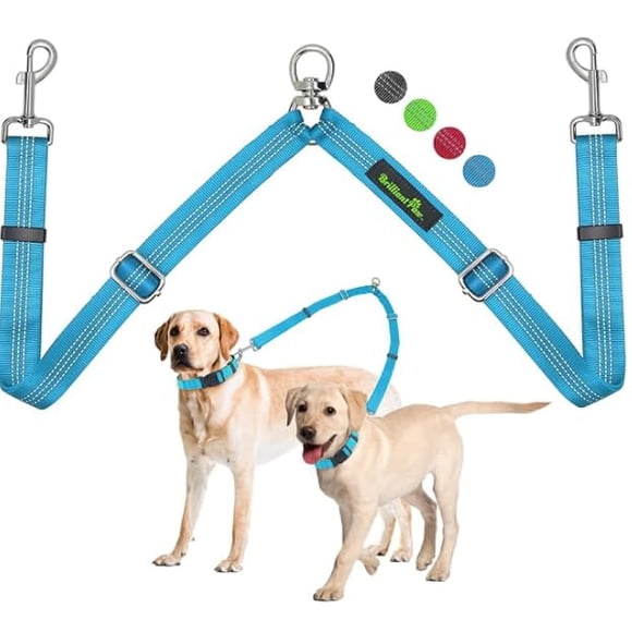 Correa doble para perro Brilliant Paw, longitud ajustable, azul