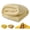 Cream, variant on Yellow Dog Blanket for Dogs & Cats, Soft Plush Pet Throw Blanket for Crates, Sofas, Beds & Travel