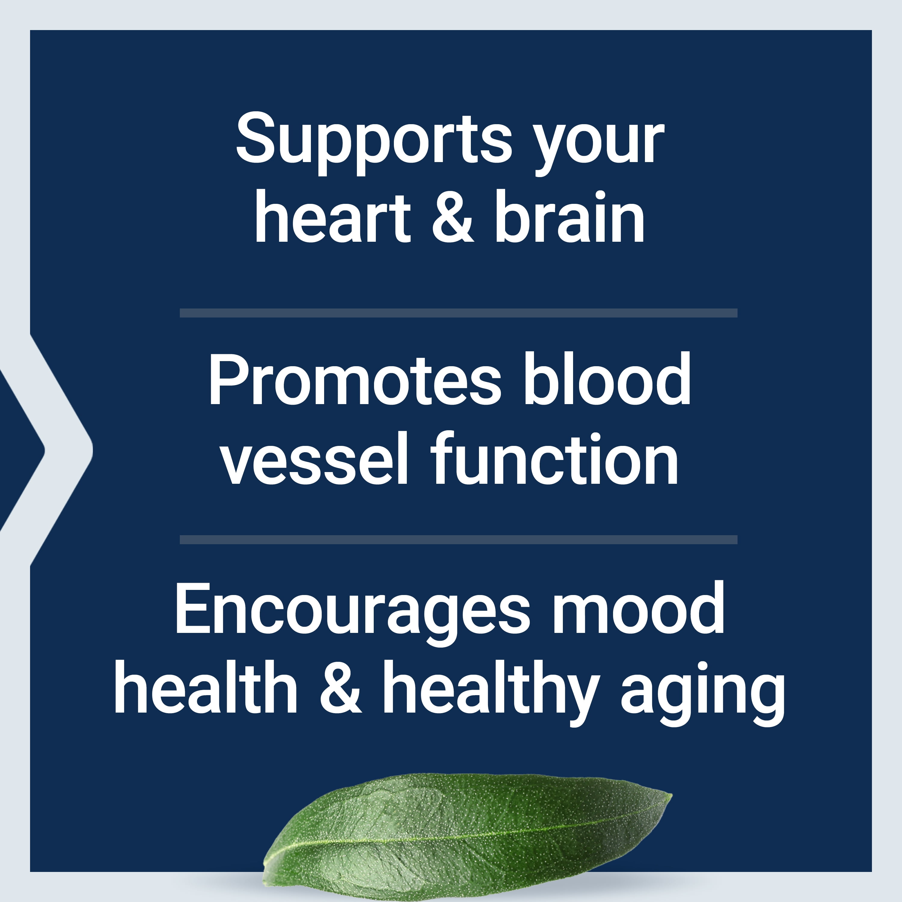 Life Extension Super Omega-3 EPA/DHA Fish Oil, Sesame Lignans & Olive Extract - Omega 3 Supplement - For Heart Health and Brain Support - Gluten Free, Non-GMO - 240 Easy-to-swallow Softgels