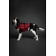 thumbnail image 3 of Chaleco salvavidas para perros NOAH & PAW M, malla transpirable 3X Foam, 3 of 9