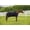 78, variant on TuffRider Kozy Komfort Stable Sheet 78 Black