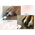 thumbnail image 4 of De' Vora Scratch Square Dog & Cat Grooming Toy, XS/Small, 4 of 12