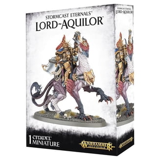 Dreadlord on Black Dragon Sorceress Dark Elf Warhammer Age of