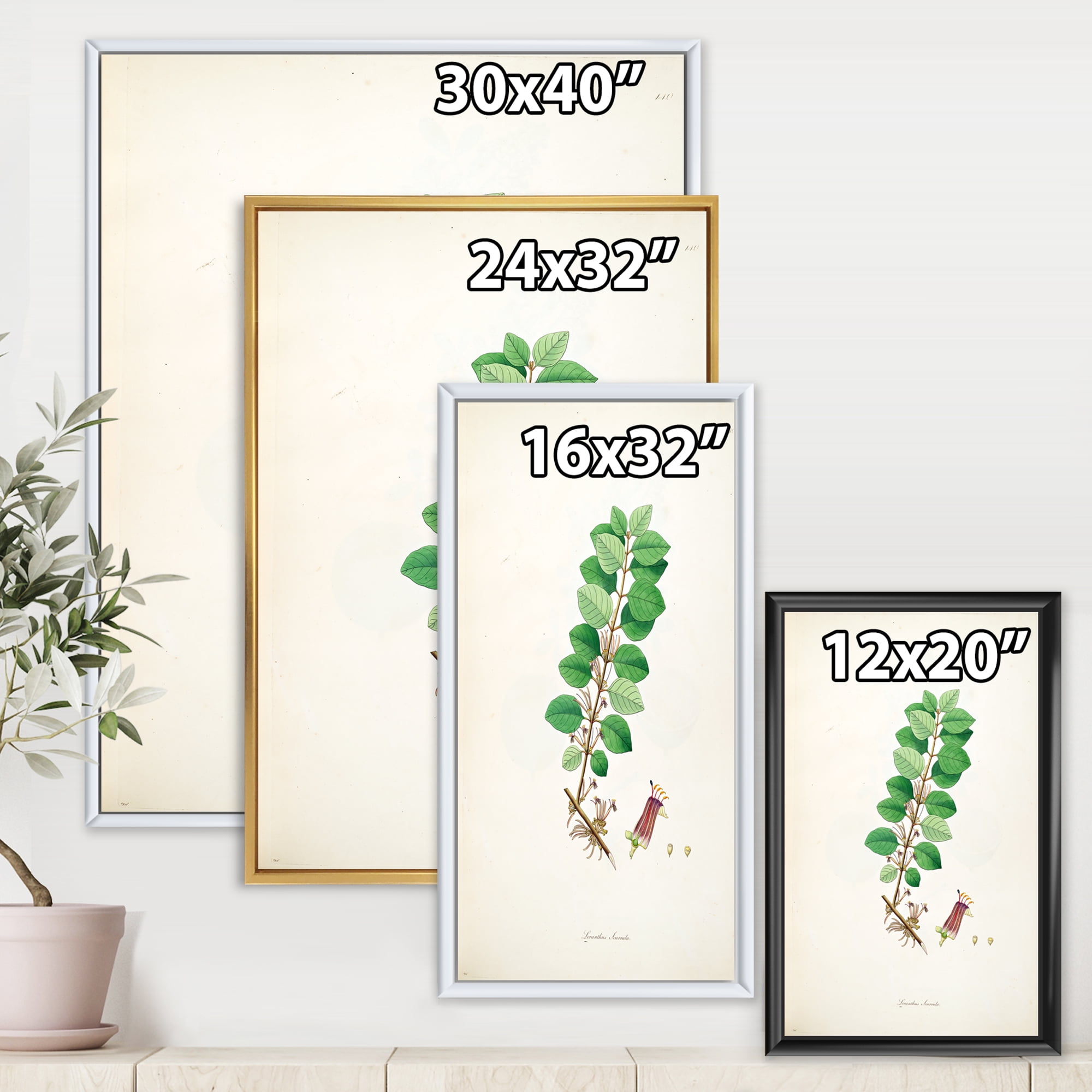 Designart 'Ancient Plant Life XVII' Farmhouse Framed Canvas Wall Art Print
