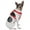 Red, variant on Jeffers Pet Reflective Hound Series Nylon Dog Harness, Blue- 5/8"W