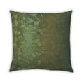 thumbnail image 1 of Ahgly Company Outdoor Square Contemporary Throw Pillow, 18 inch by 18 inch, 1 of 5