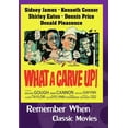 thumbnail image 1 of Quel Délire! [DVD] Dolby, 1 of 1