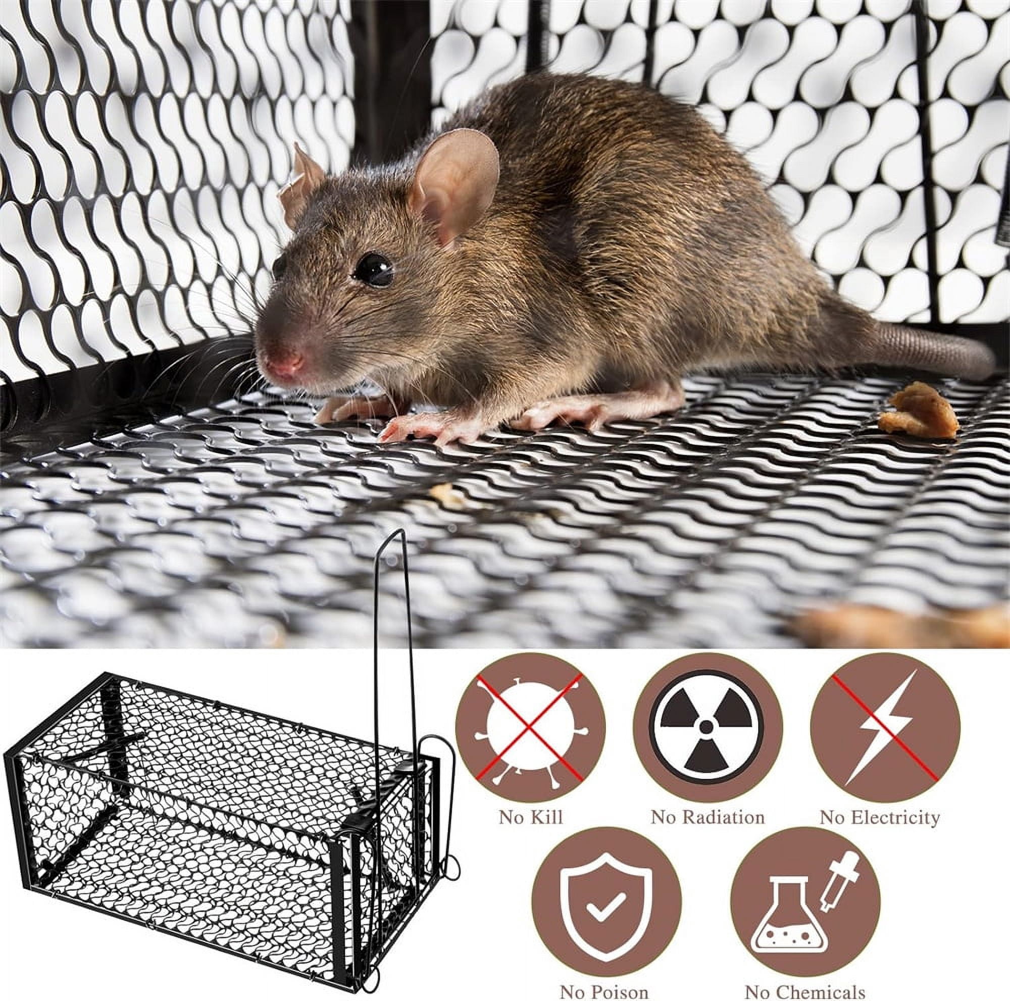 NOGIS Humane Rat Trap,Mouse Traps Indoor Outdoor Live Animal Trap Mouse Voles Hamsters Trap Small Animals Cage Catch Traps, 9x4.5x4.5 Inches (Black,2 Pcs)