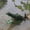 Green, variant on Pond Floating Alligator Head Decoration,Alligator Head Decoy for Pool,Outdoor Garden Crocodile Statues,Resin Crocodile Head for Swimming Pool and Pond,Duck Deterrent Control,Predator,Heron