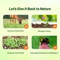 thumbnail image 4 of Outsidepride Perennial Red Clover Seeds - 1/4 lbs. Self-Seeding, Nitrocoated, Inoculated Clover Seeds for Lawn, Yard, Forage, Pasture, Hay, Nitrogen Fixation, Soil Improvement & Crop Rotation Program, 4 of 7