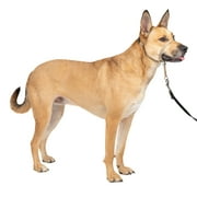 PetSafe Gentle Leader No-Pull Dog Collar, Medium, Fawn
