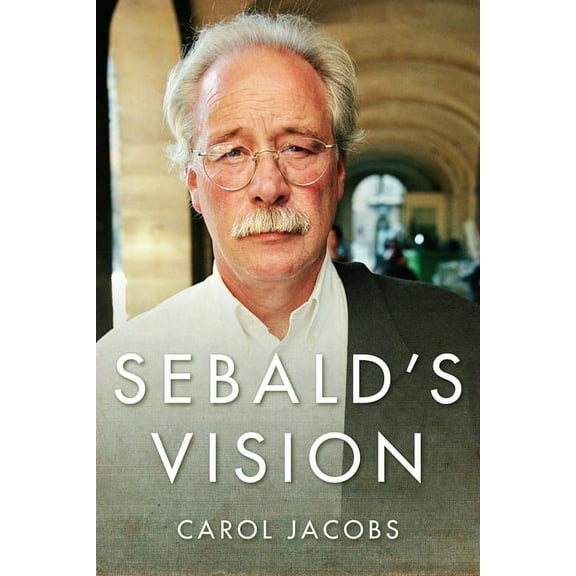 Literature Now Sebald's Vision, (Hardcover)