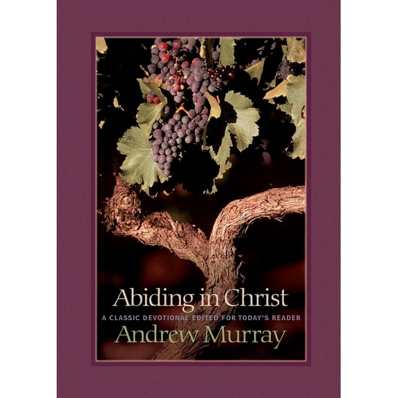 Pre-Owned Abiding in Christ (Paperback) 0764227629 9780764227622