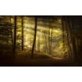 thumbnail image 2 of Maier, Norbert 18x13 White Modern Wood Framed Museum Art Print Titled - Autumnal Morning, 2 of 4